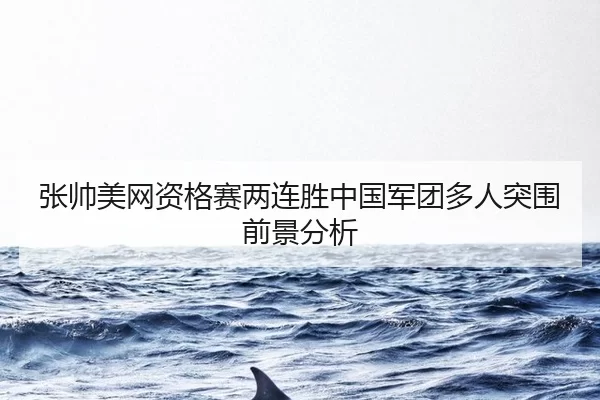 张帅美网资格赛两连胜中国军团多人突围前景分析